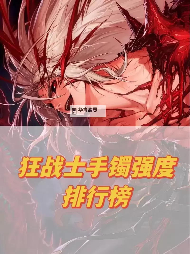 狂战士带什么手镯:揭秘增强战斗力的最佳选择图1