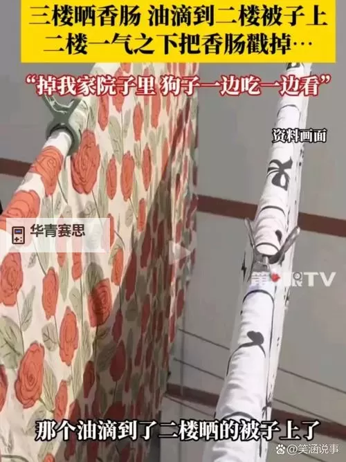 在破房子里和狗做:一段奇特的邻里故事图1