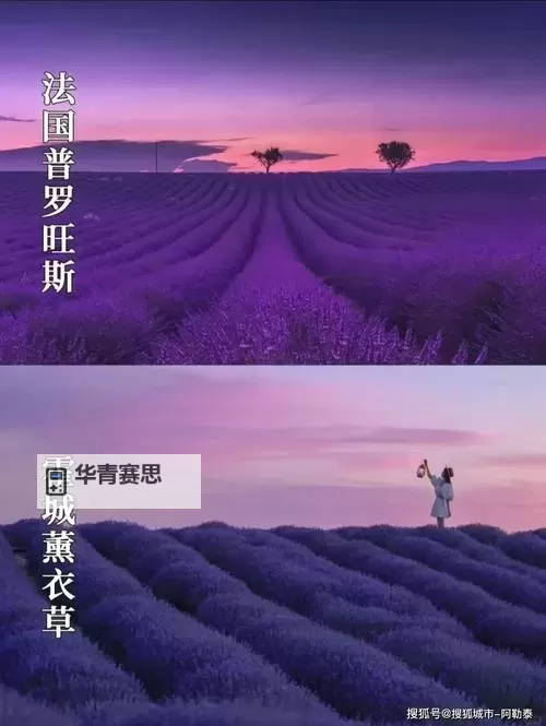 探索日本一码片的独特魅力与购买指南图1