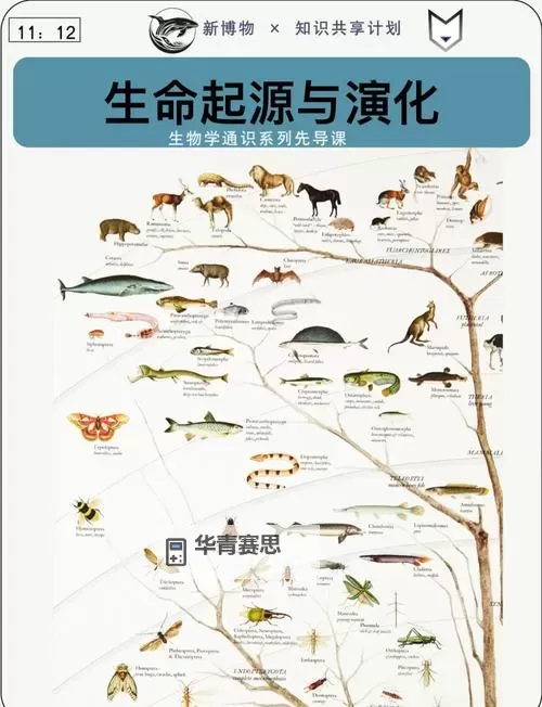 揭秘谱尼进化顺序:探索生命演变的奥秘图1