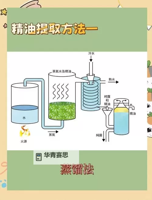 掌握技巧:魔力溶剂怎么得的详细方法图1