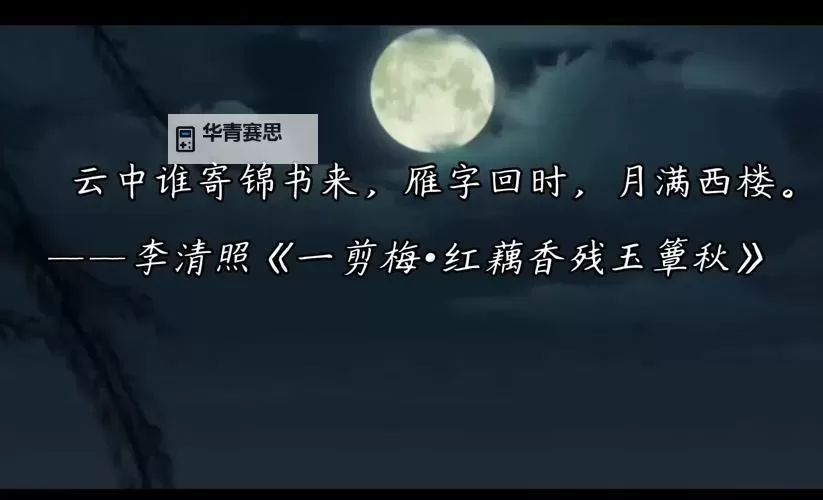 夜色伊人：月下的柔情篇章图1