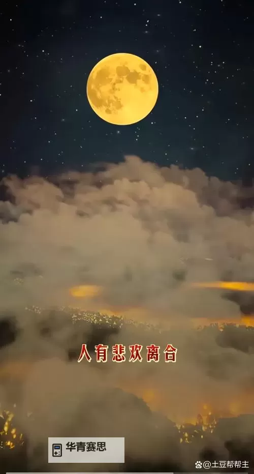 月夜直播在线观看免费完整版:畅享午夜美景与高清盛宴图1