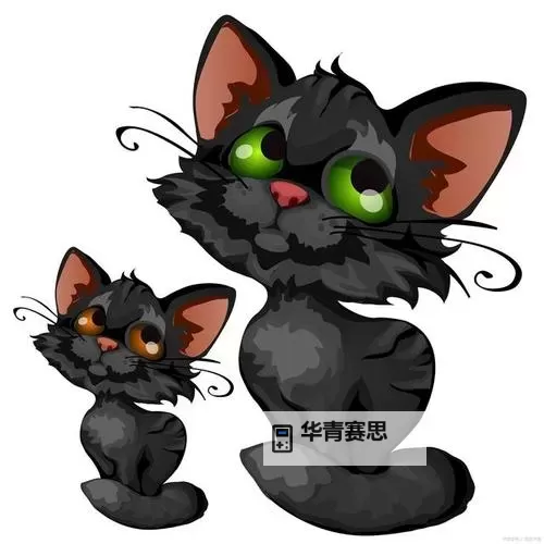 黑猫的正确填充方法漫画免费下拉指南，轻松掌握技巧！图1