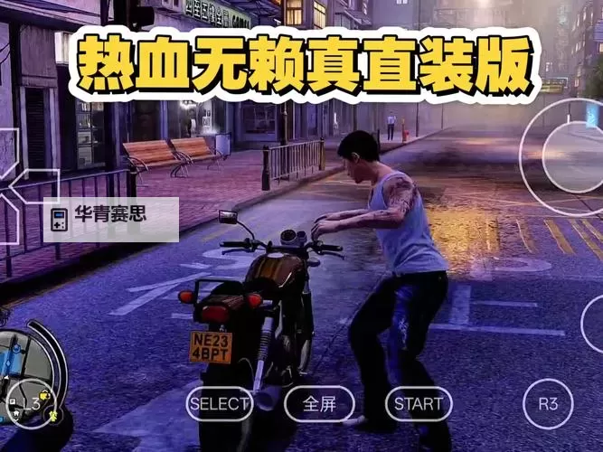 热血无赖技巧全攻略:提升你的游戏战斗实战经验图2