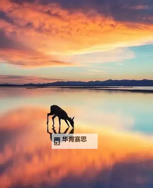 探索西方37大但免费摄影技巧:提升你的摄影水平图1