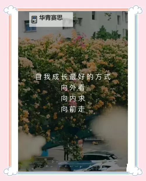 探索精彩未来:钻石儿媳书包网助你成长的秘诀图1