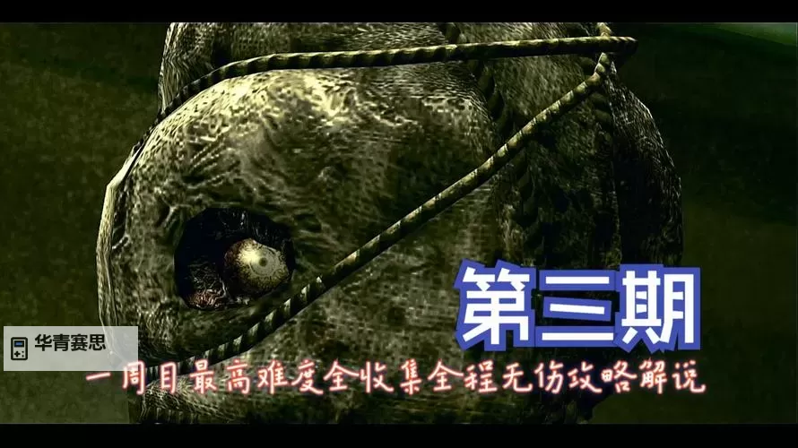 全面攻略:生化危机 5全流程详解与攻略指南图1