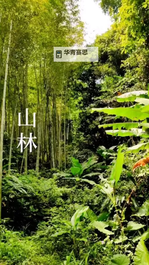 问道2021年开区列表完整版及最新公告图2