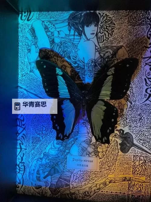 探索极致美学:最强唯美天天干电影的视觉盛宴图1