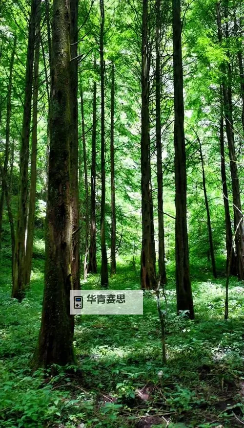 问道2021年开区列表完整版及最新公告图1