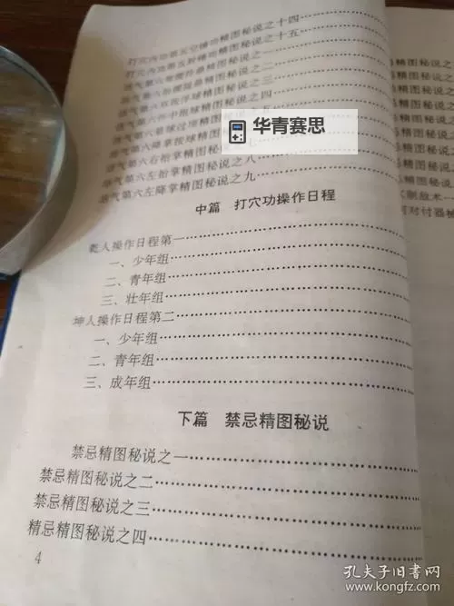武当是道家什么派:揭秘武当派的历史与特色图1