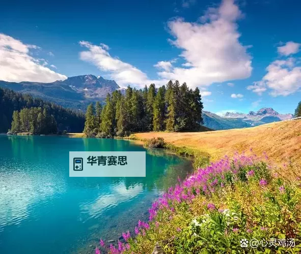 无码国产自产拍在线观看_国产成人:最新安全观看指南图1