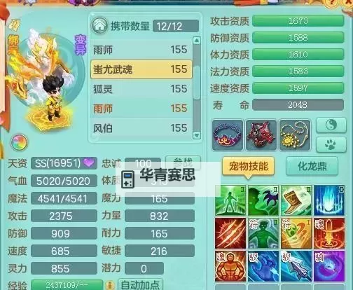 神武4地府不加敏:策略解析与培养建议图1
