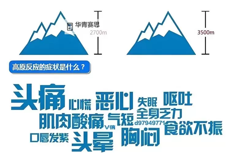 晨醒时分:巨大还在里面的秘密揭秘图1