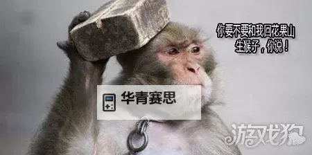 男女生一起生猴子网站:趣味互动体验平台介绍图1