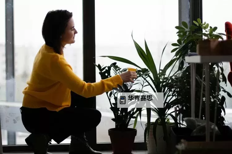 我的家庭角色：又是丈夫又是儿子图1