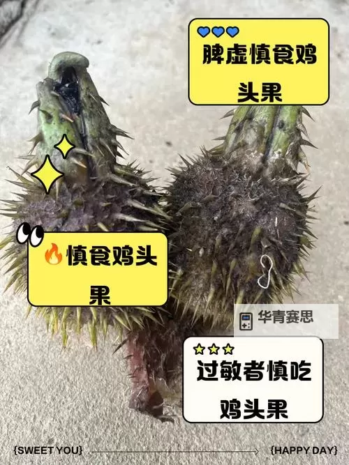 用嘴巴吃鸡有什么好处和坏处呢:健康与风险的全面分析图1