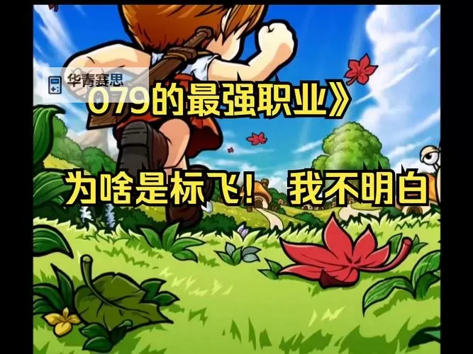 冒险岛079破功:揭秘失败的原因与解决方案图1