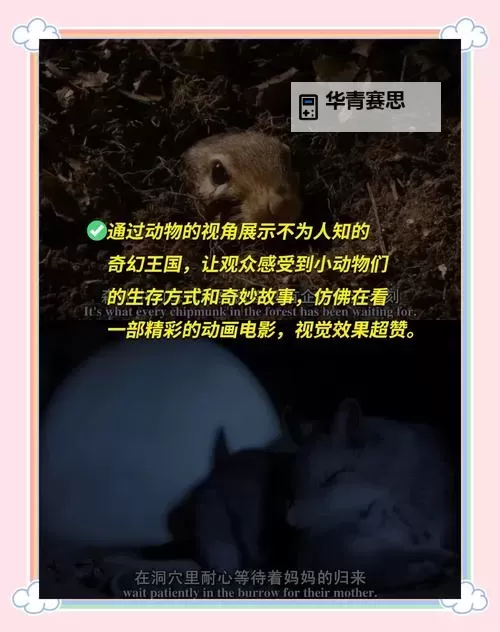 探索未知:帐篷里的秘密第1季的神秘冒险图2
