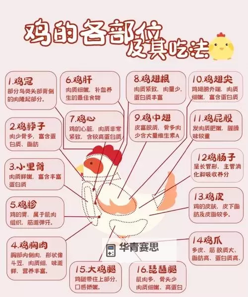 用嘴巴吃鸡有什么好处和坏处呢:健康与风险的全面分析图2
