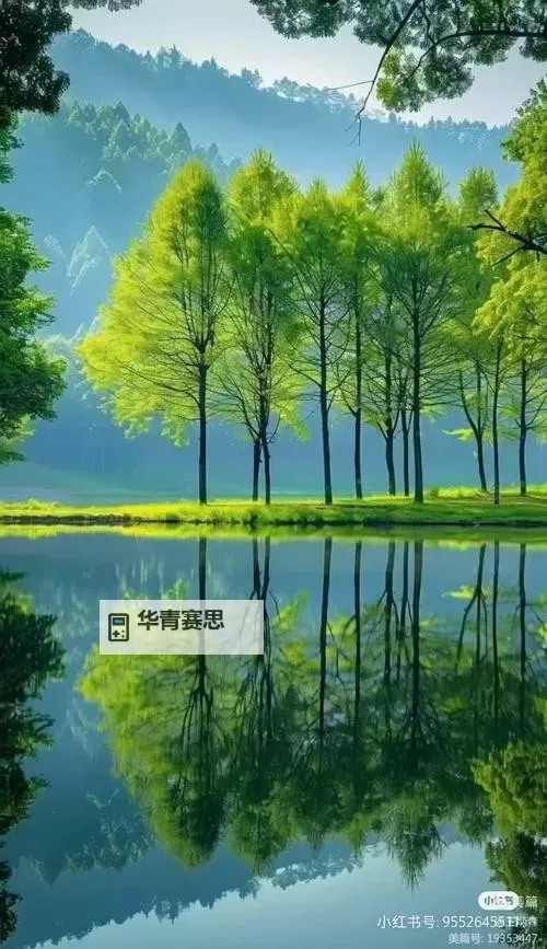 【游戏推荐】畅享精彩内容——小鸟酱在线观看免费全攻略图1