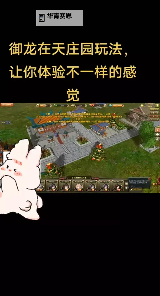 全面攻略:御龙在天新区最佳玩法与升级指南图2