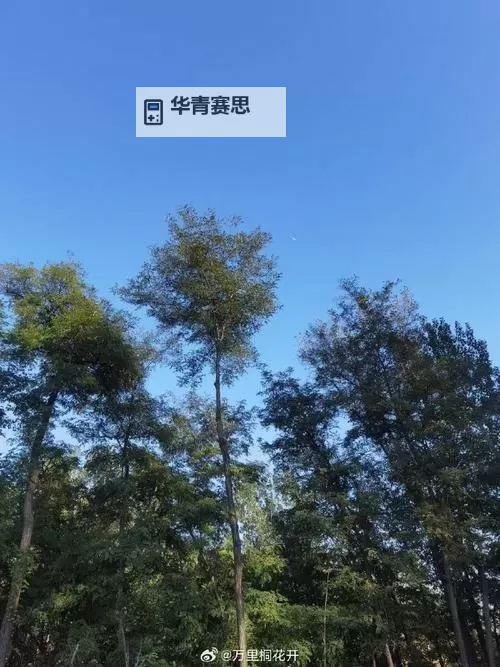 中国梦之声收视率再创新高 引领综艺节目的新热潮图1