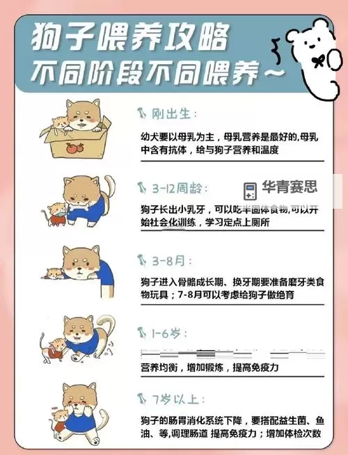 赛尔号几米怎么培养:全面指南助你轻松培养强力宠物图1