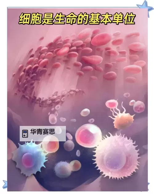 细胞进化永无止境：探索生命不断演变的奇迹图1