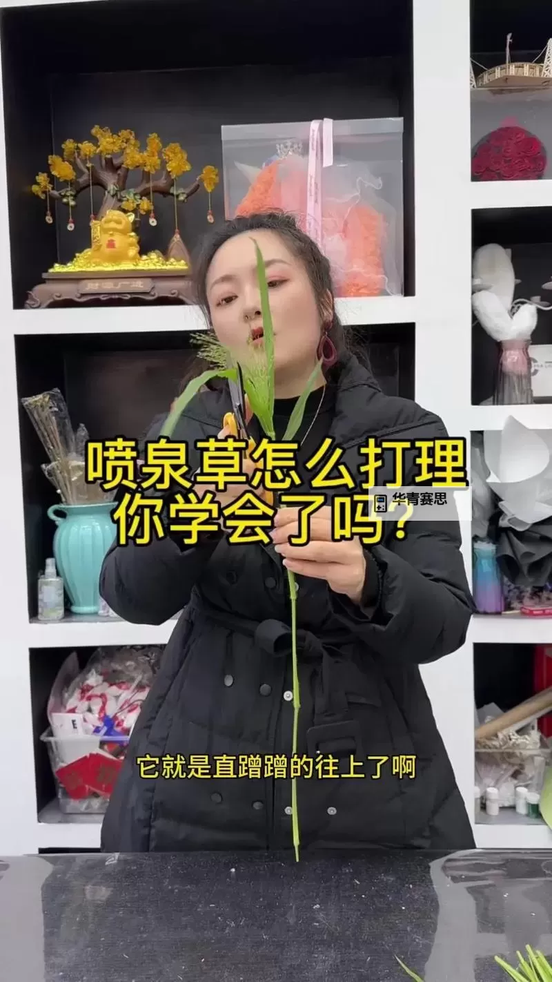 如何掌握技巧:怎样把自己弄到喷泉的实用指南图1