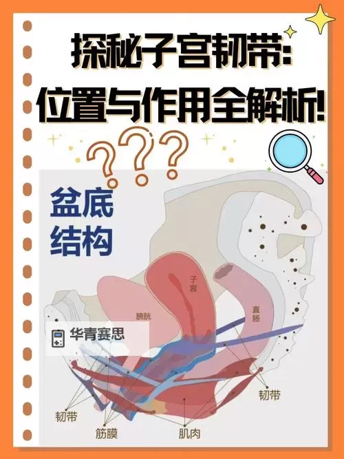 女性身体五点是哪五点：关键部位解析图1