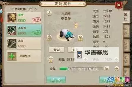 问道名片上怎么显示坐骑:详细操作指南图2