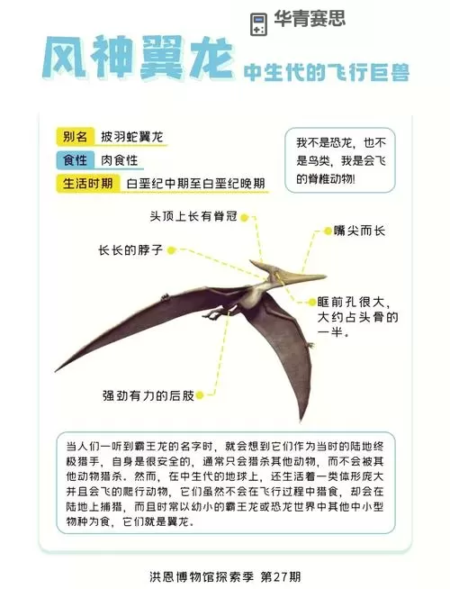 风龙叫什么:探索传说中的空中守护者图1