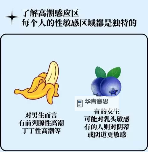 探索娱乐新天地——全面解读“嘿嘿色综合”图2