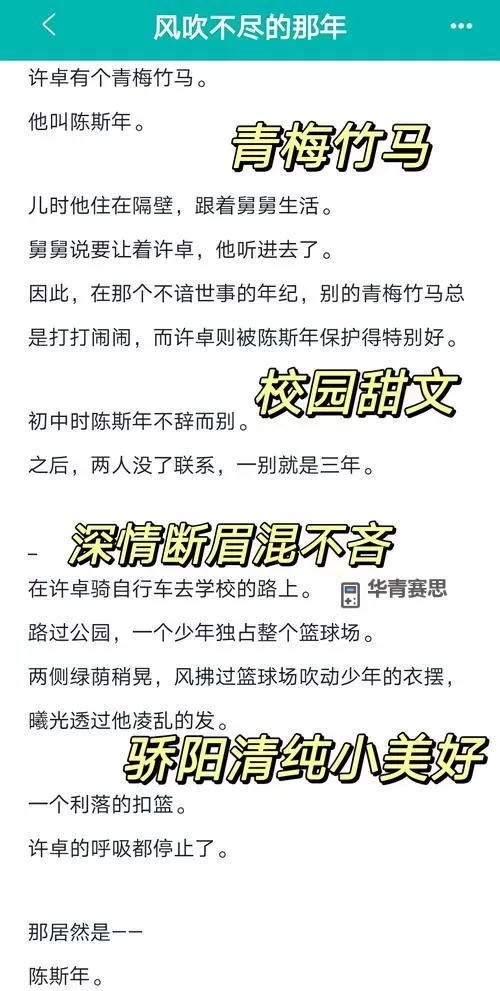 《青春共鸣：坐在学长的巨大上做作业小说的甜蜜时光》图2