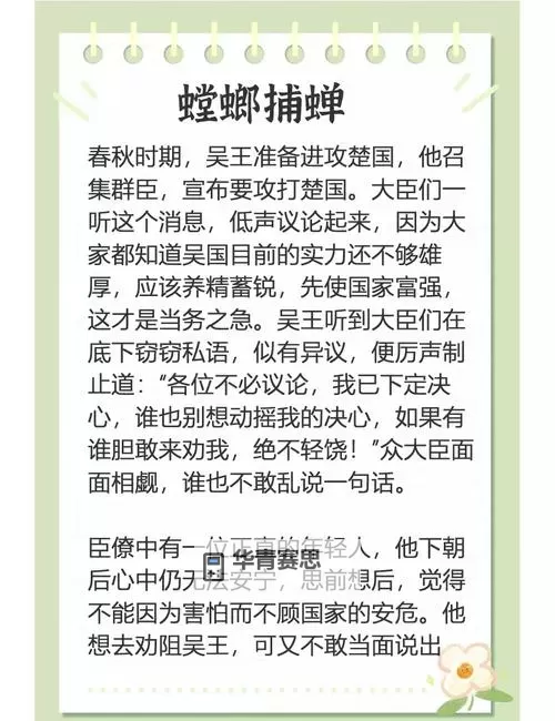 精神螳螂火男最后去哪儿了:谜底揭晓引发众人深思图2