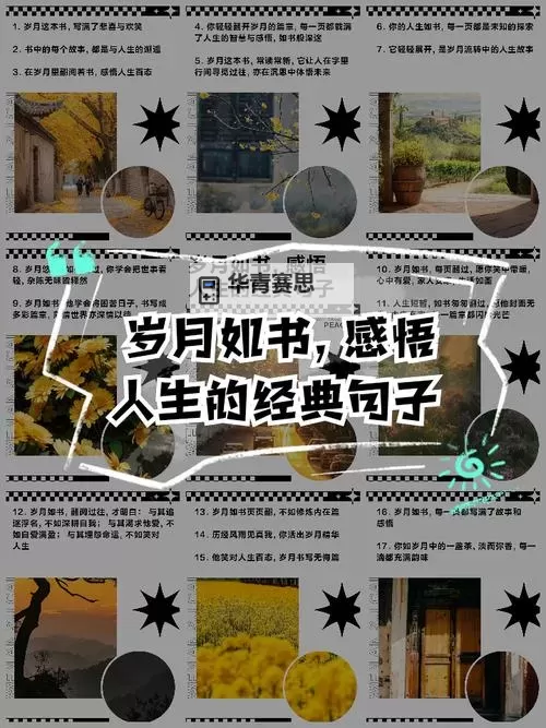 坏木木色百万最经典十句话:感悟人生的智慧与温暖图1