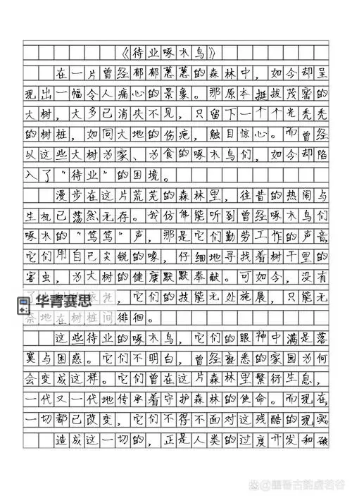 关于“坐在学长的棒子上写作业作文片段”的精彩片段赏析图1