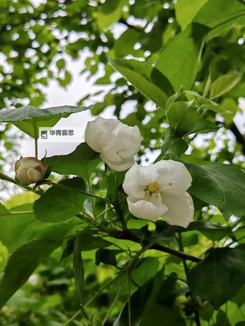 探索最新精彩内容:nxgx视频全面解析图2