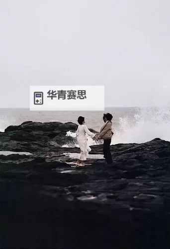 最美情侣高清免费视频:浪漫瞬间全纪录图2