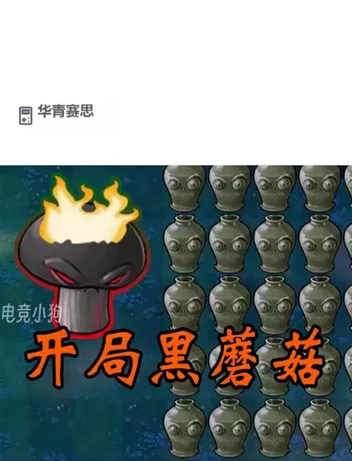 神秘森林中的又大又黑又长的蘑菇头探秘图1