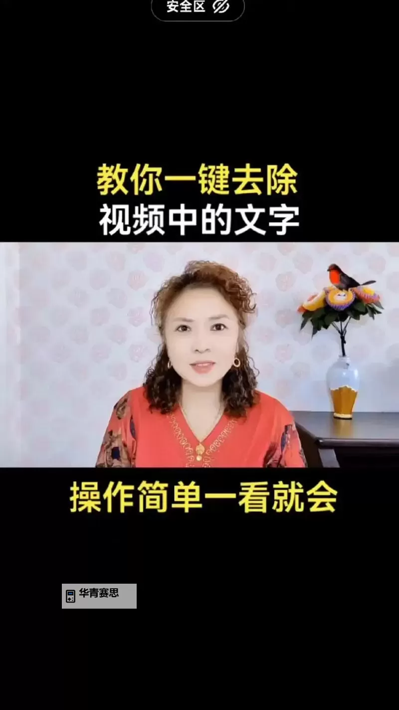 如何解决中日文字字幕乱码视频的问题与实用解决方案图1