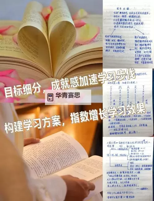 皇子二级学什么:学习内容与培养目标全解析图1