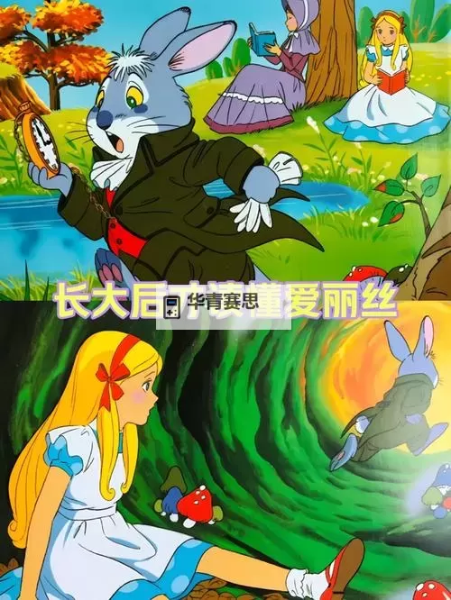 爱丽丝与卡洛斯的关系:友情、信任与成长的故事图1