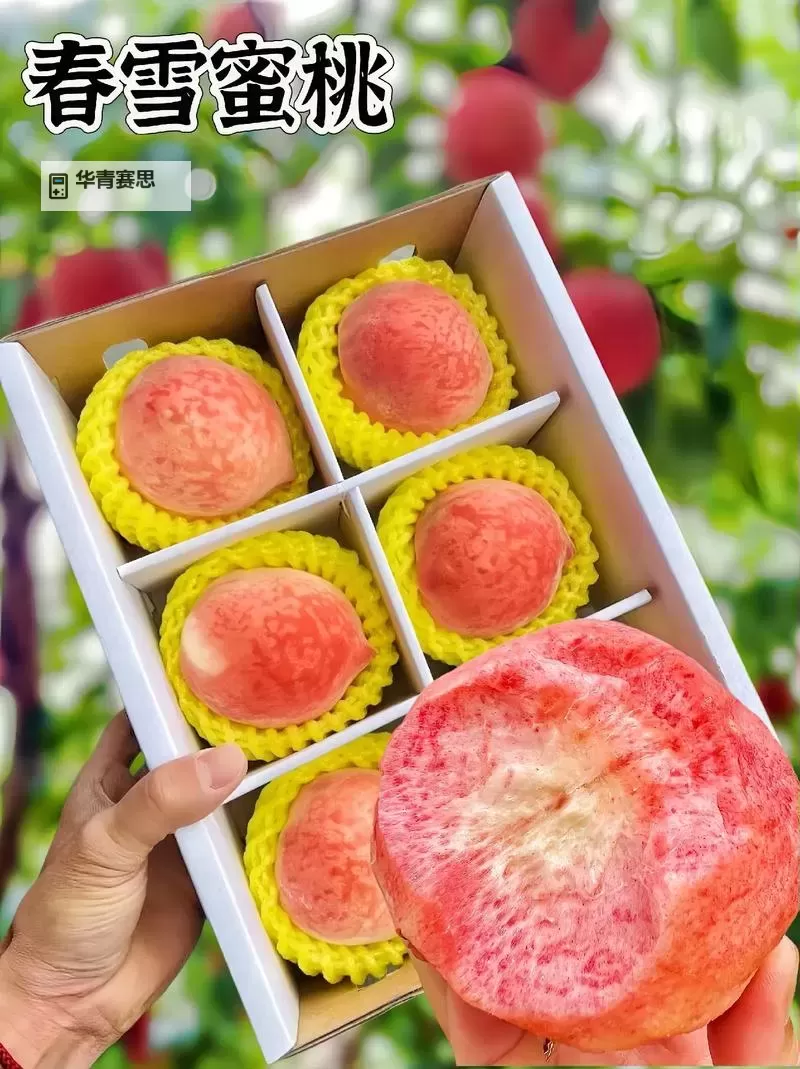 新鲜直供:欧美一级水蜜桃,甜美多汁的夏日佳品图1