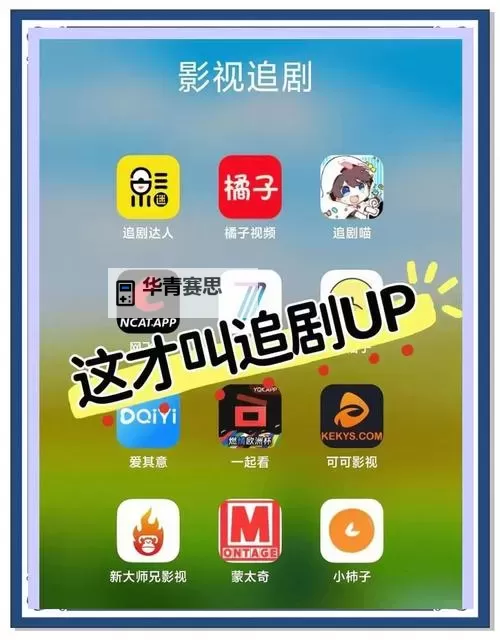 金十三超前观看免费更新!畅享最新剧情提前体验图1