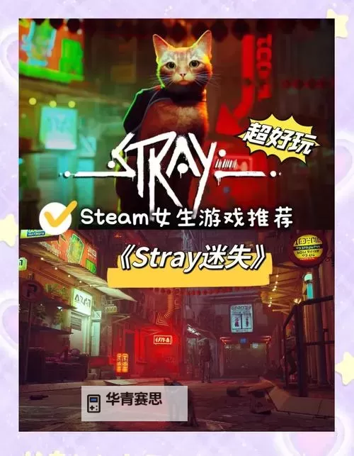 探索全新体验:猫咪社区v3.2.0成人版精彩升级图1