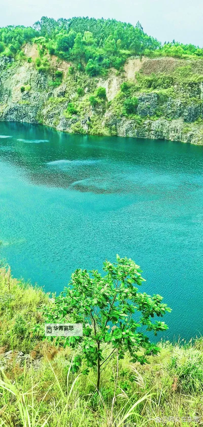 探索精彩内容,尽在www.chinese.tube8man官方网站图1