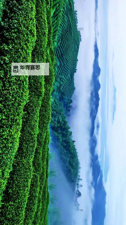 虐杀原形2Win10能玩吗?最新兼容性与运行指南图2